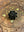 BLACK CRYSTAL AMERICAN DIAMOND (AD) COCKTAIL PARTY RING